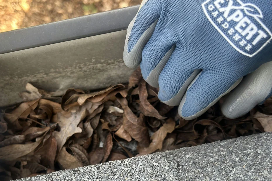 Gutter Cleaning North Myrtle Beach