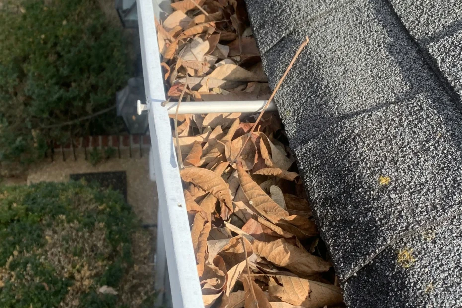 Gutter Cleaning North Myrtle Beach